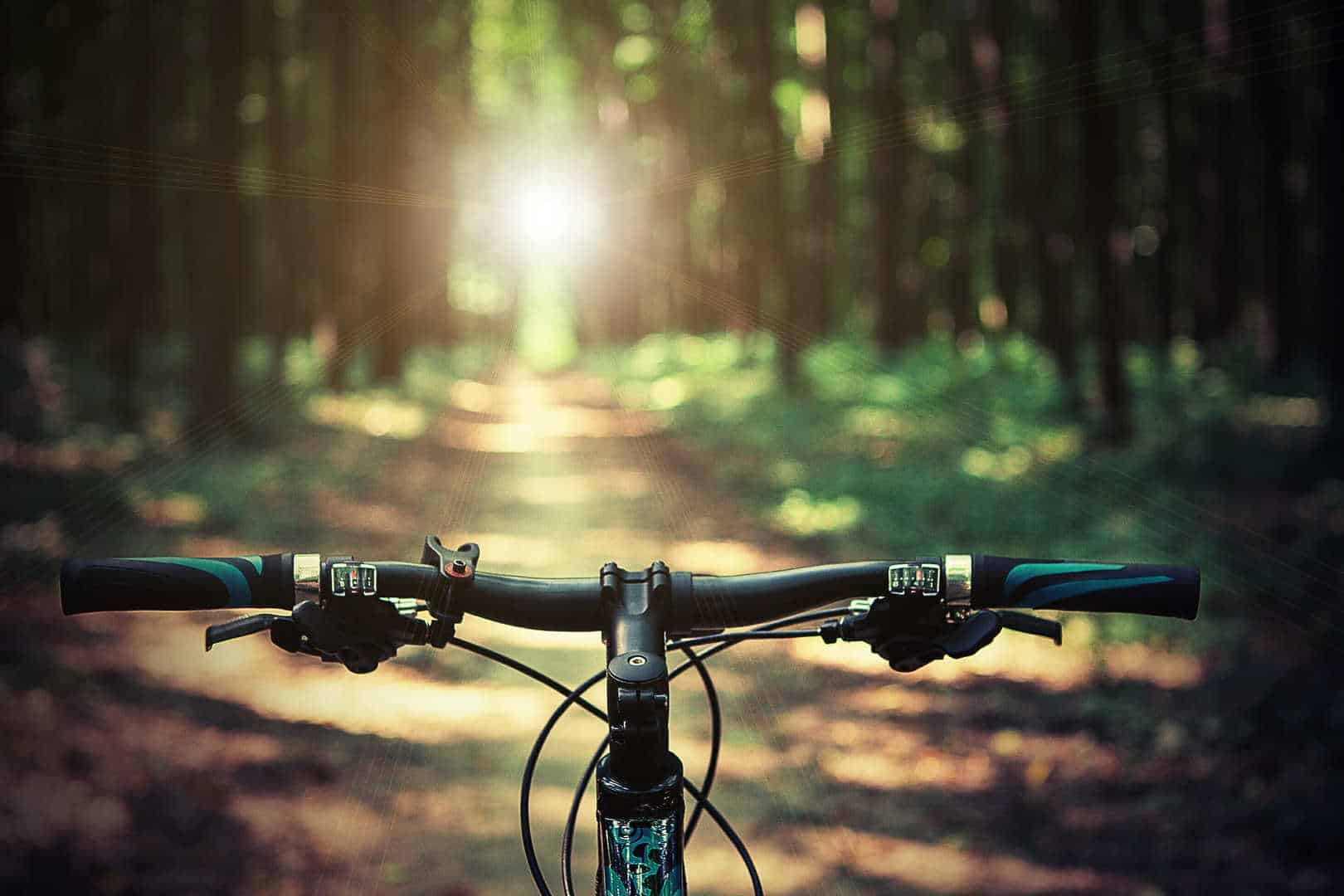 Travelling with Bikes in your Motorhome shutterstock