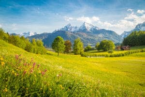 fields and mountains