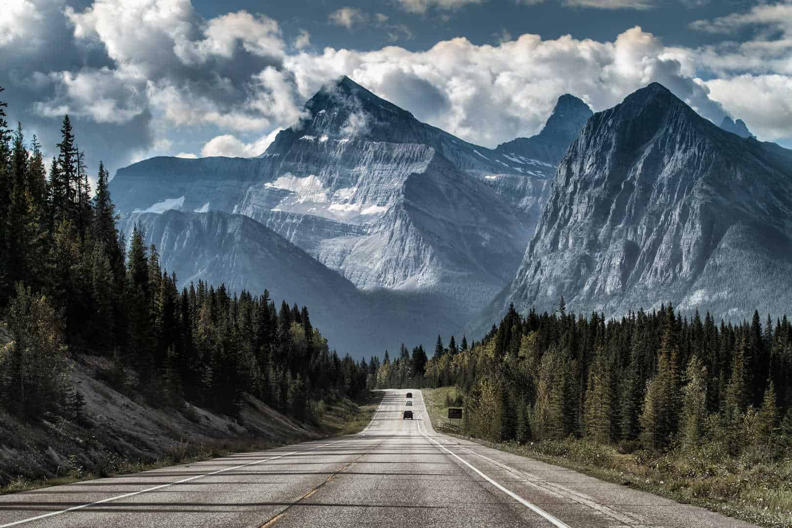 forest and mountains