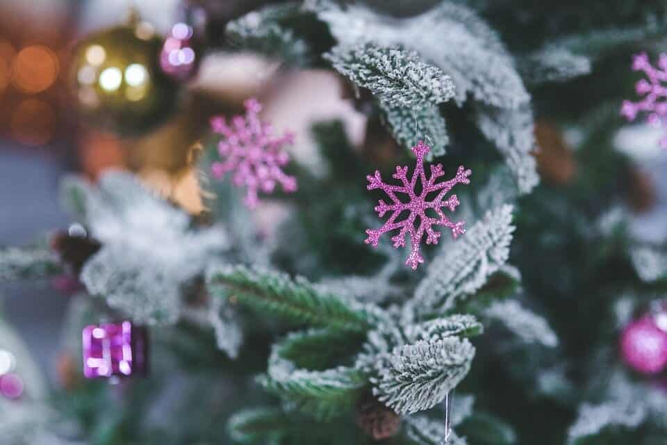 Image of Xmas tree