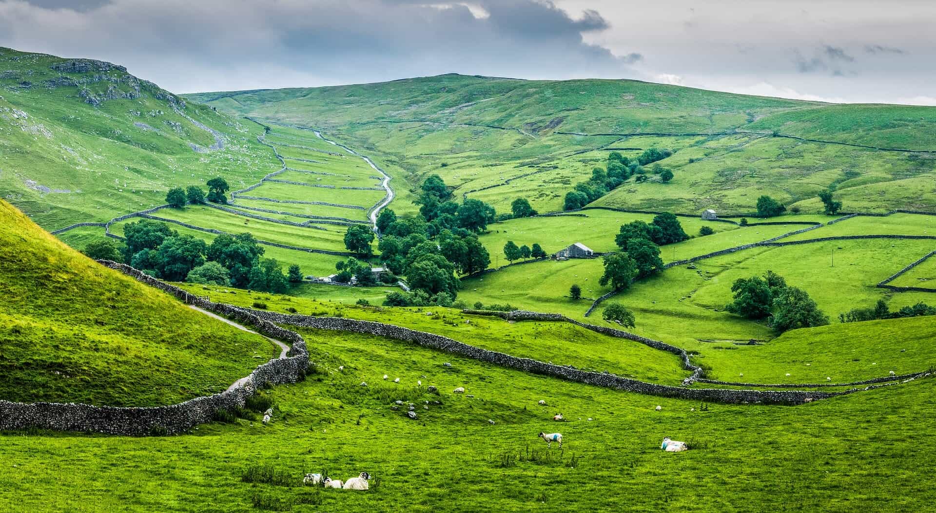 Yorkshire Hillside