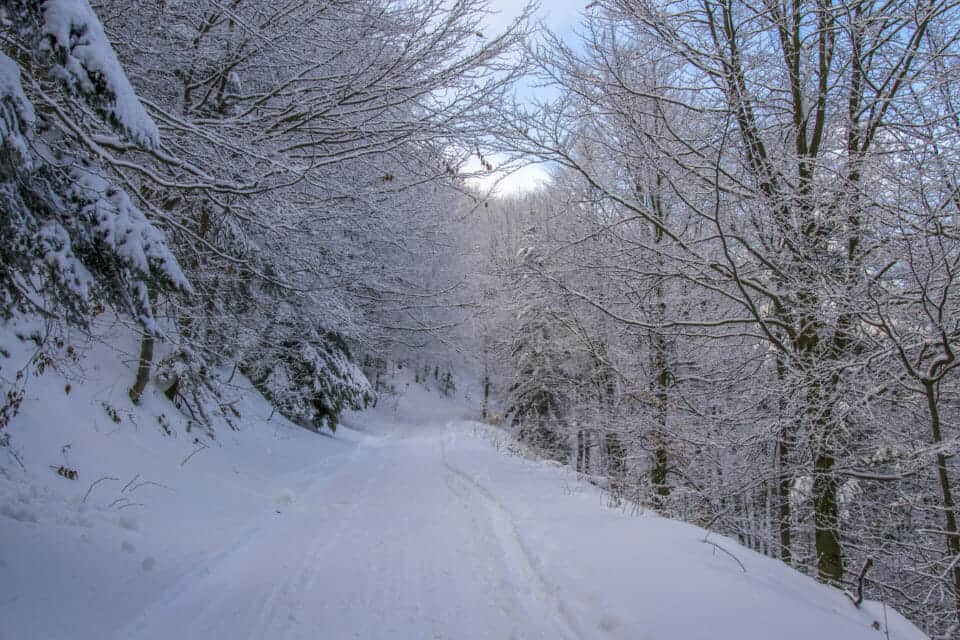 Snow path