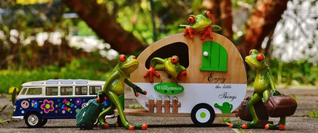 Frogs living in a caravan