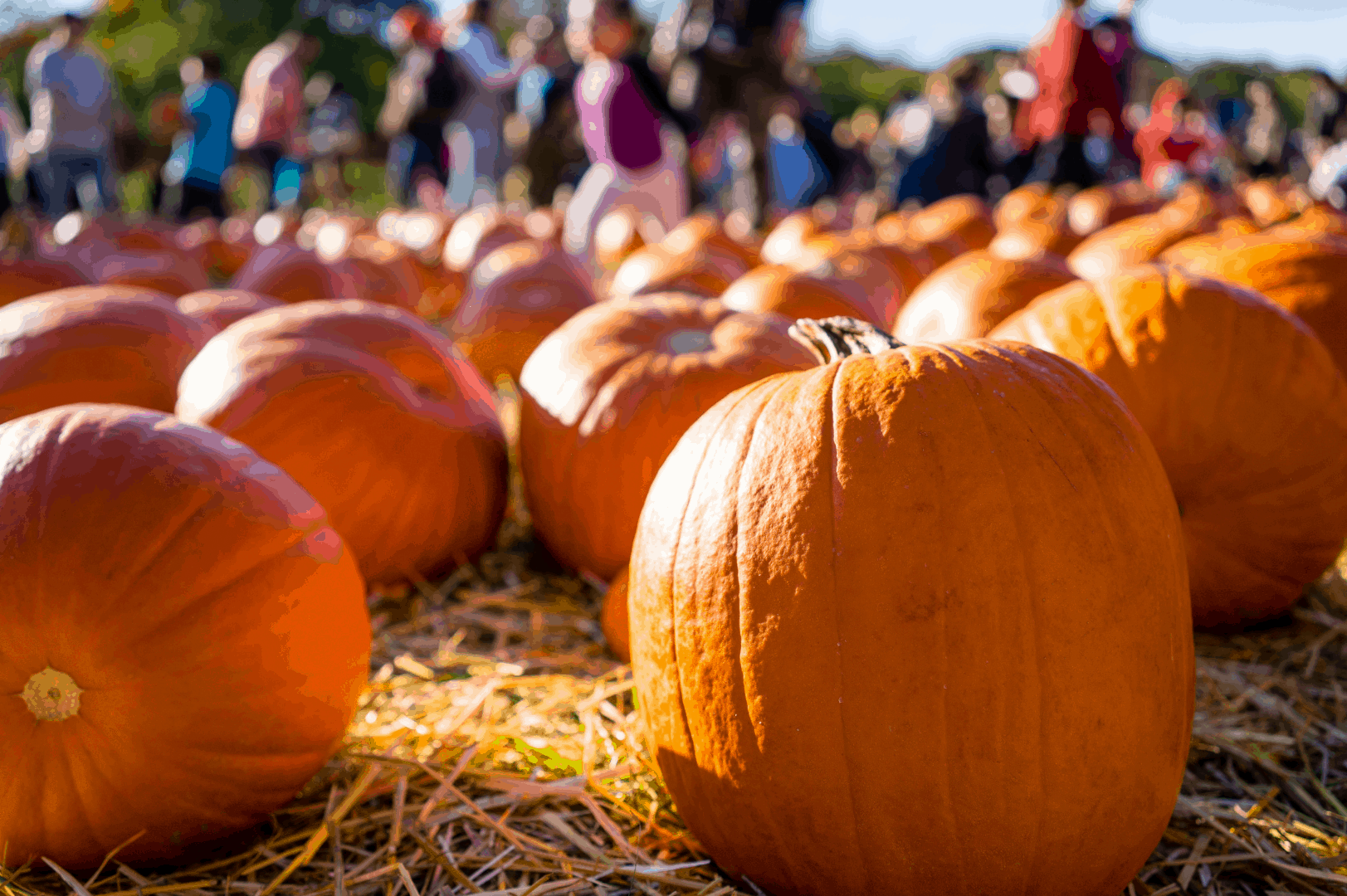 Family-friendly Halloween adventures in your campervan