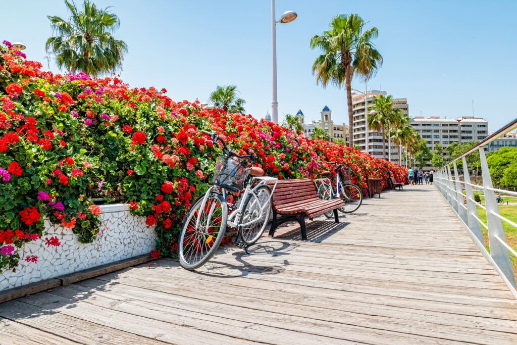 Bridge of Flowers in Valencia Spain.